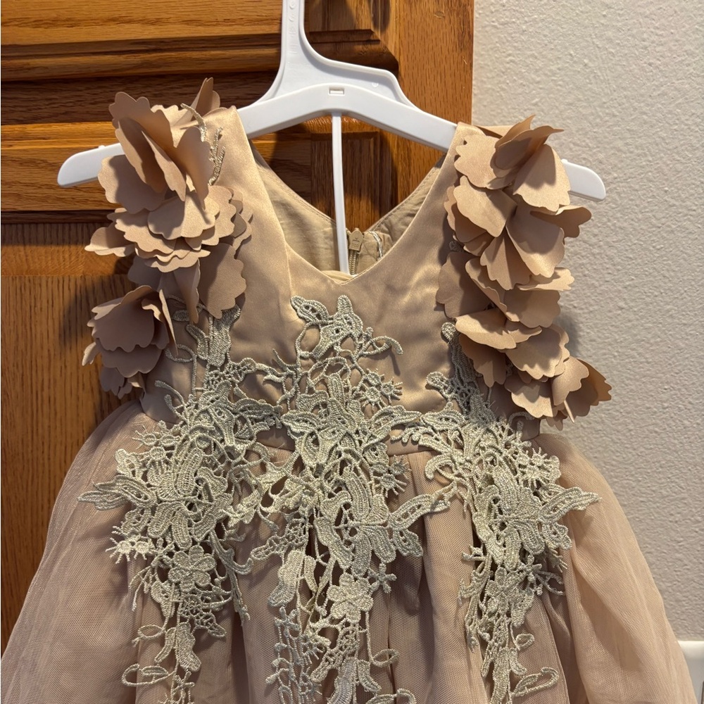 Trish Scully beautiful champagne dress size 6-12 months NWT